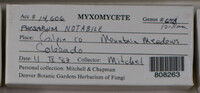 Image Associated With the Occurence